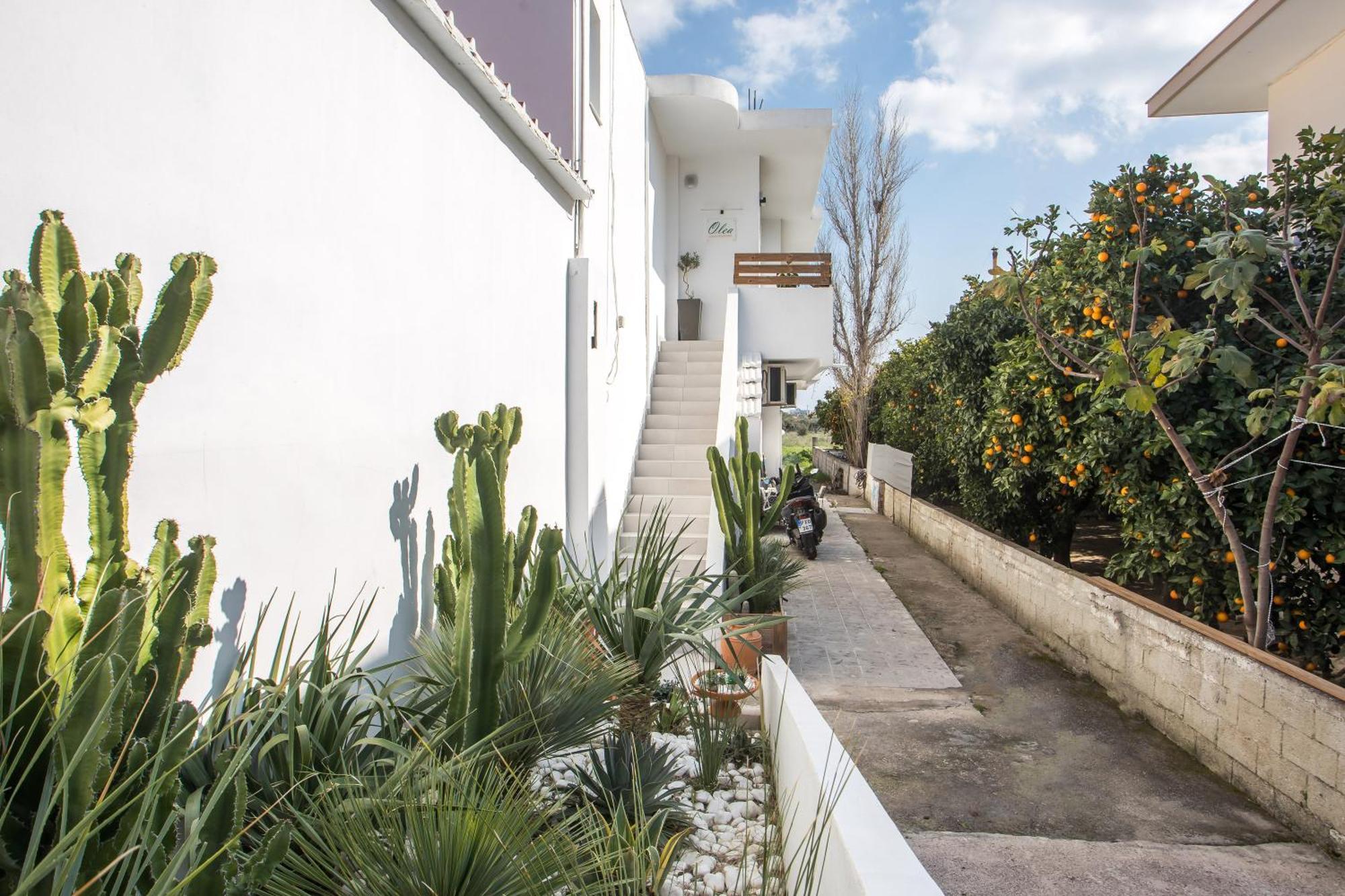 Olea Luxury Apartment Afándu Kültér fotó